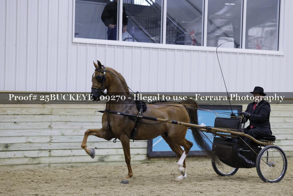 Proof Number 25BUCKEYE_09270