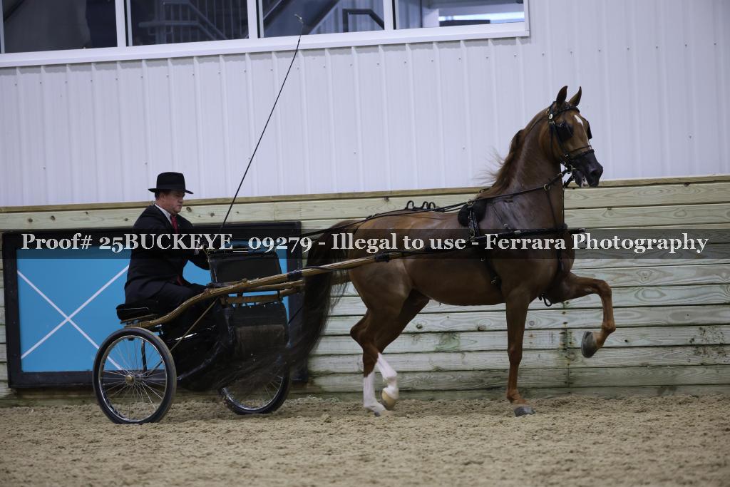 Proof Number 25BUCKEYE_09279