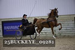 25BUCKEYE_09281 thumbnail