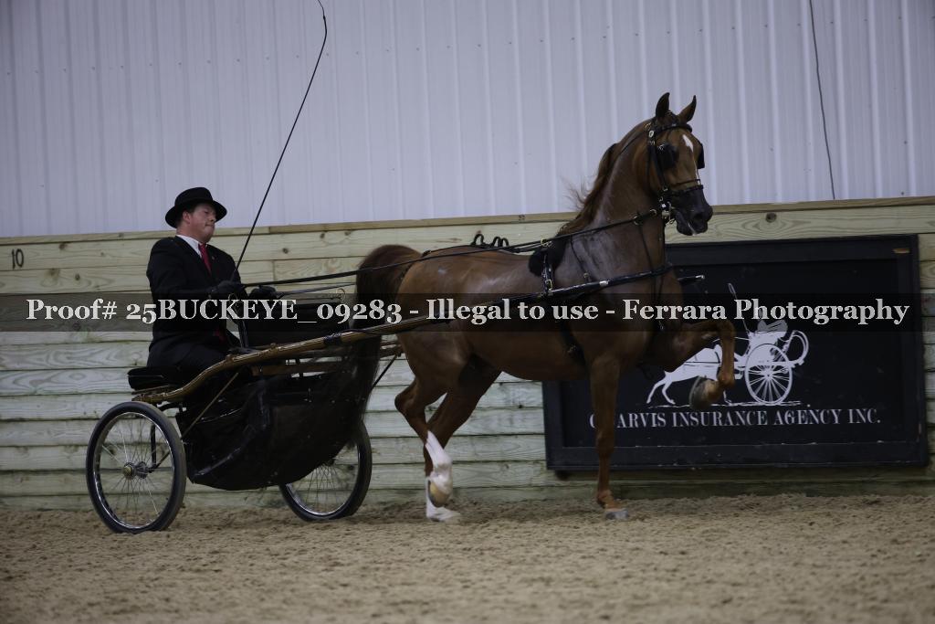 Proof Number 25BUCKEYE_09283