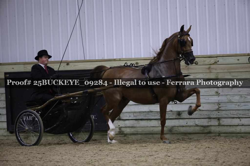Proof Number 25BUCKEYE_09284