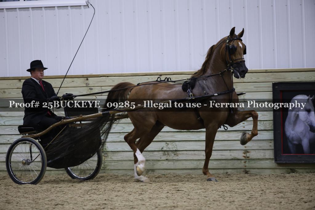 Proof Number 25BUCKEYE_09285