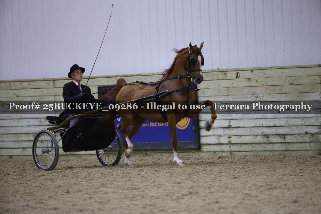 Proof Number 25BUCKEYE_09286