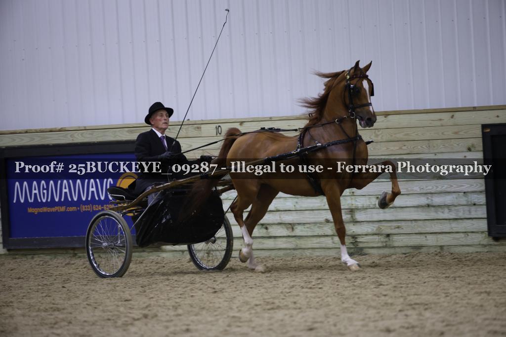 Proof Number 25BUCKEYE_09287