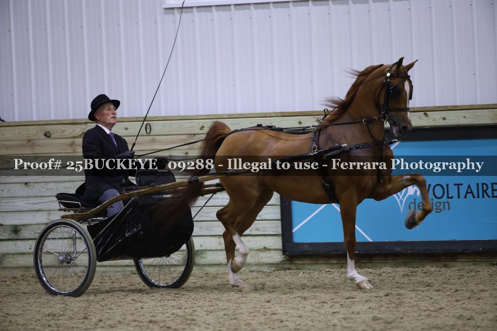 Proof Number 25BUCKEYE_09288