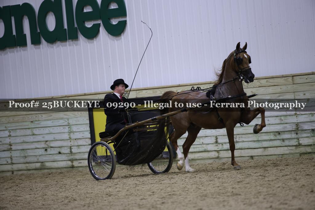 Proof Number 25BUCKEYE_09290