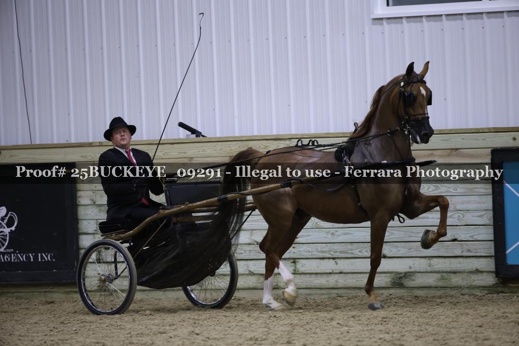 Proof Number 25BUCKEYE_09291