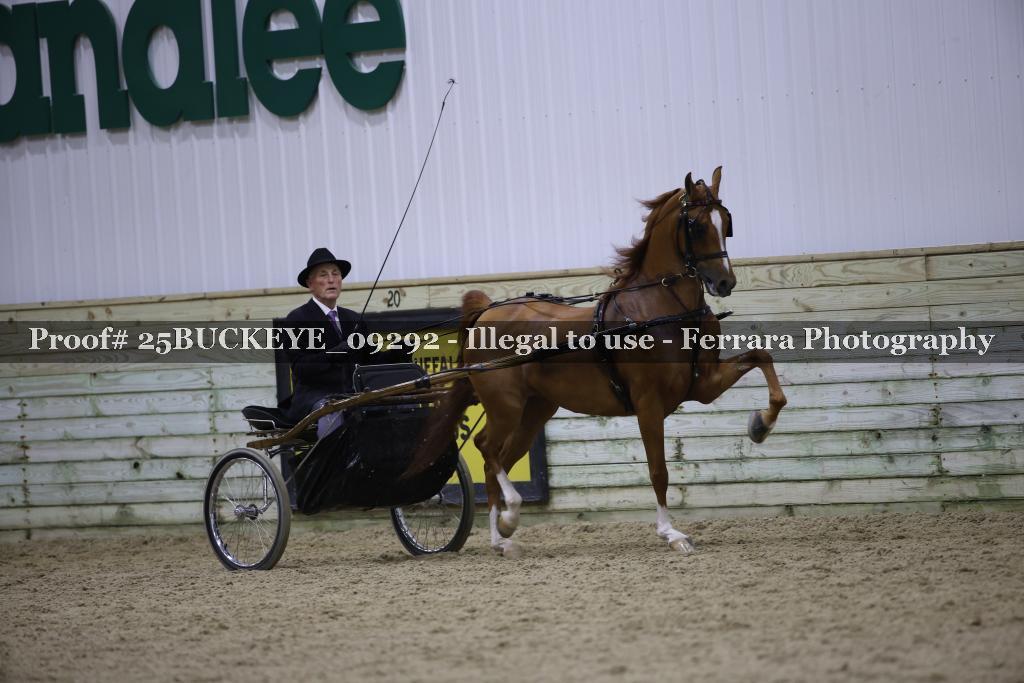 Proof Number 25BUCKEYE_09292