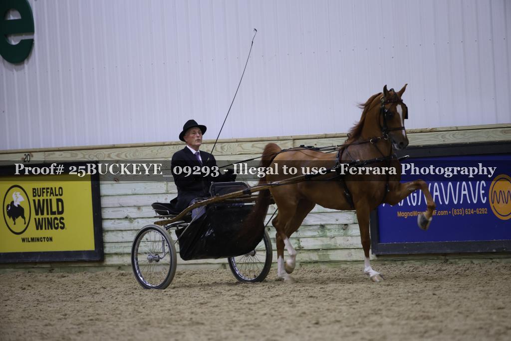 Proof Number 25BUCKEYE_09293