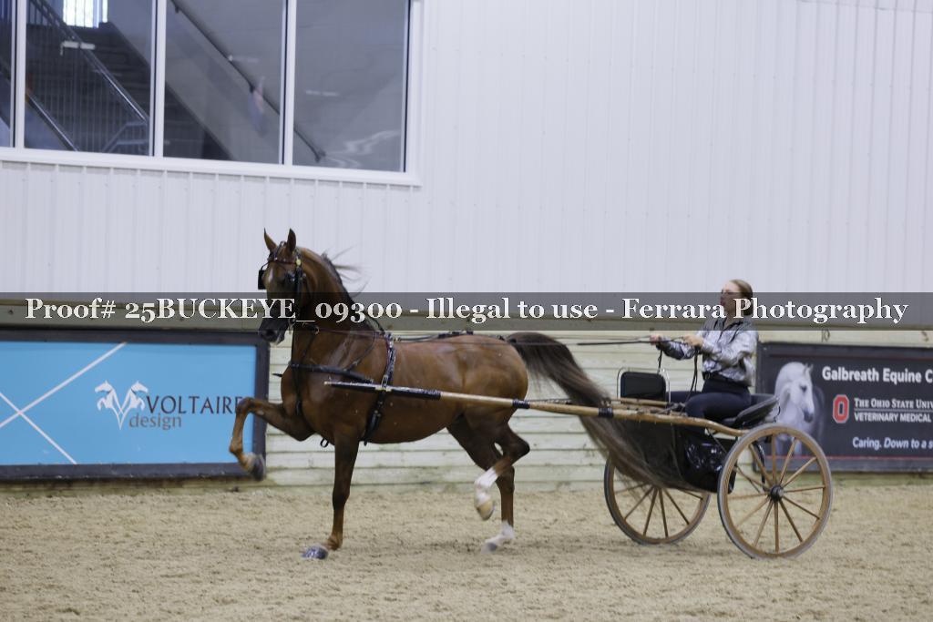 Proof Number 25BUCKEYE_09300