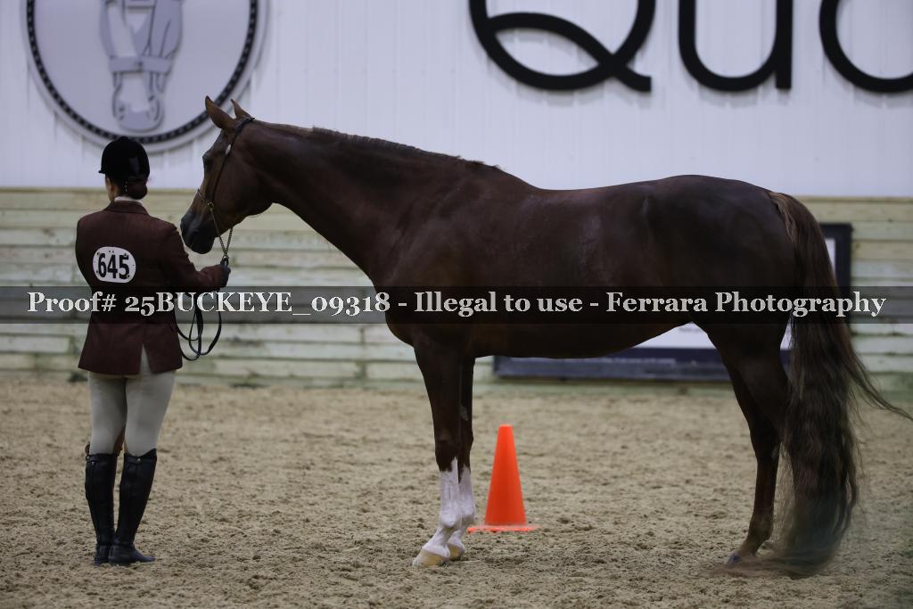 Proof Number 25BUCKEYE_09318