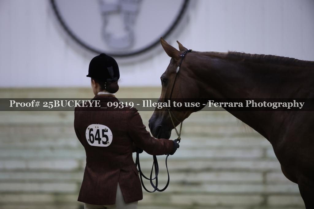 Proof Number 25BUCKEYE_09319