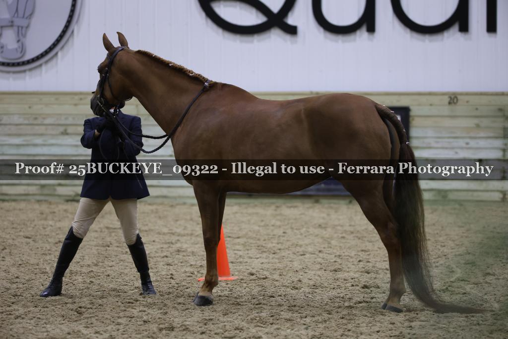 Proof Number 25BUCKEYE_09322