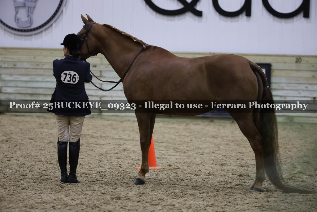 Proof Number 25BUCKEYE_09323
