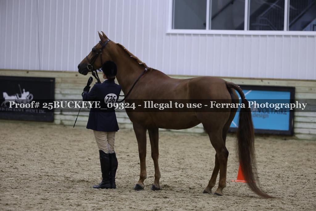 Proof Number 25BUCKEYE_09324