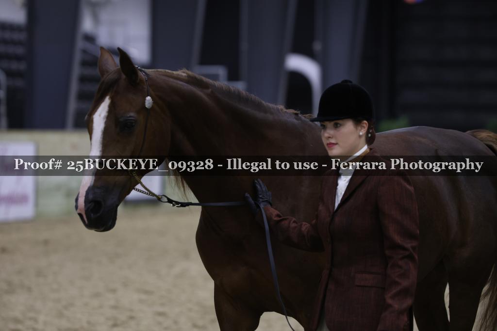 Proof Number 25BUCKEYE_09328