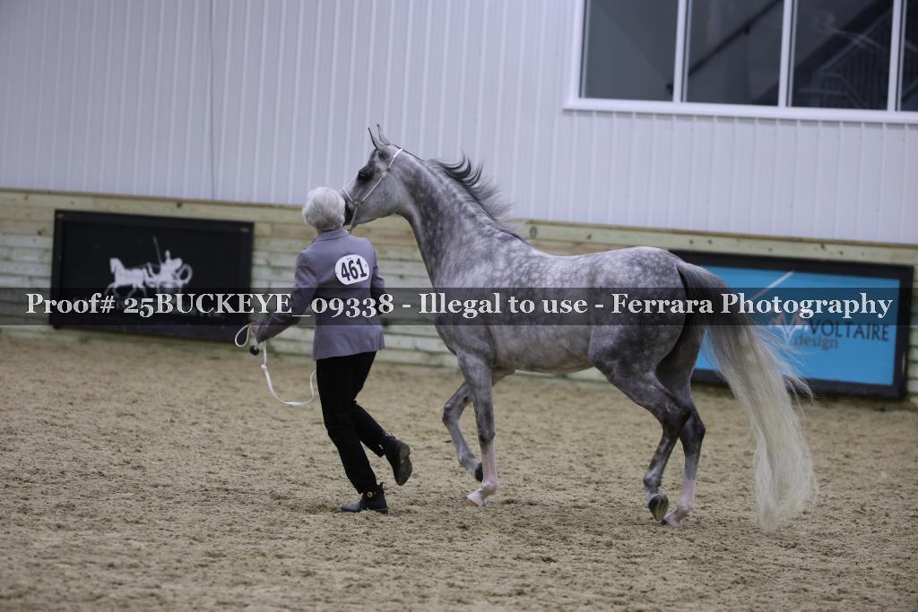 Proof Number 25BUCKEYE_09338