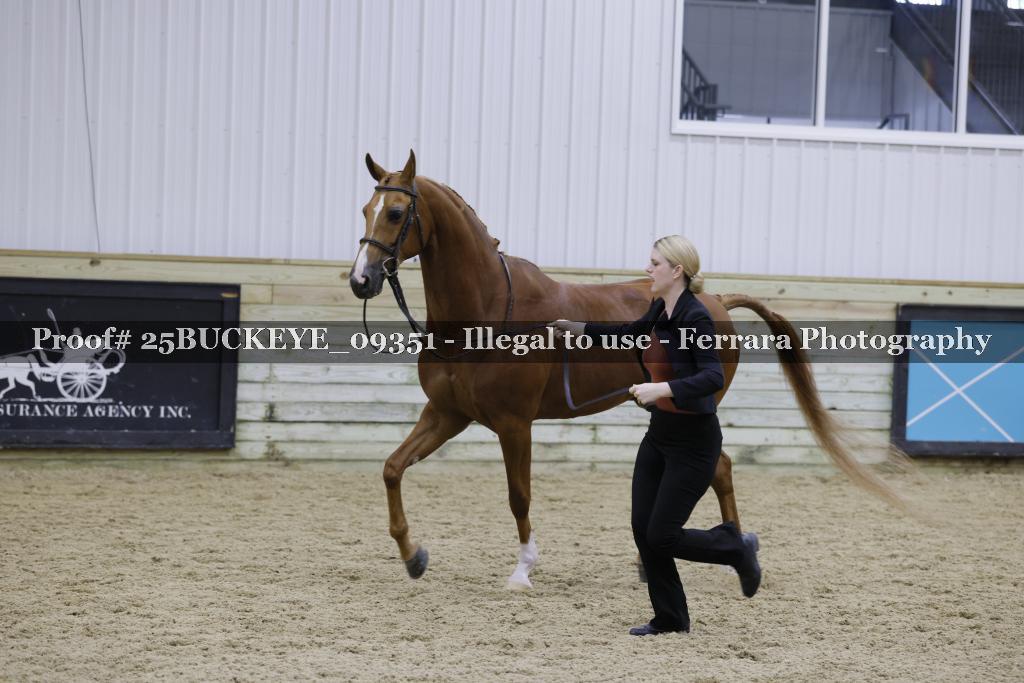 Proof Number 25BUCKEYE_09351