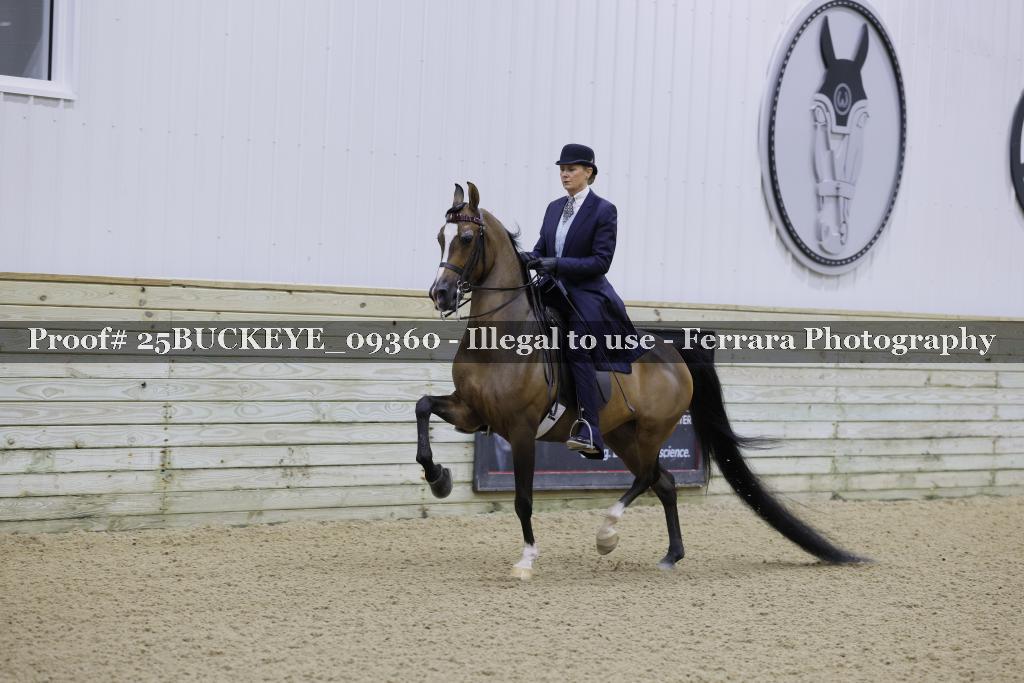 Proof Number 25BUCKEYE_09360
