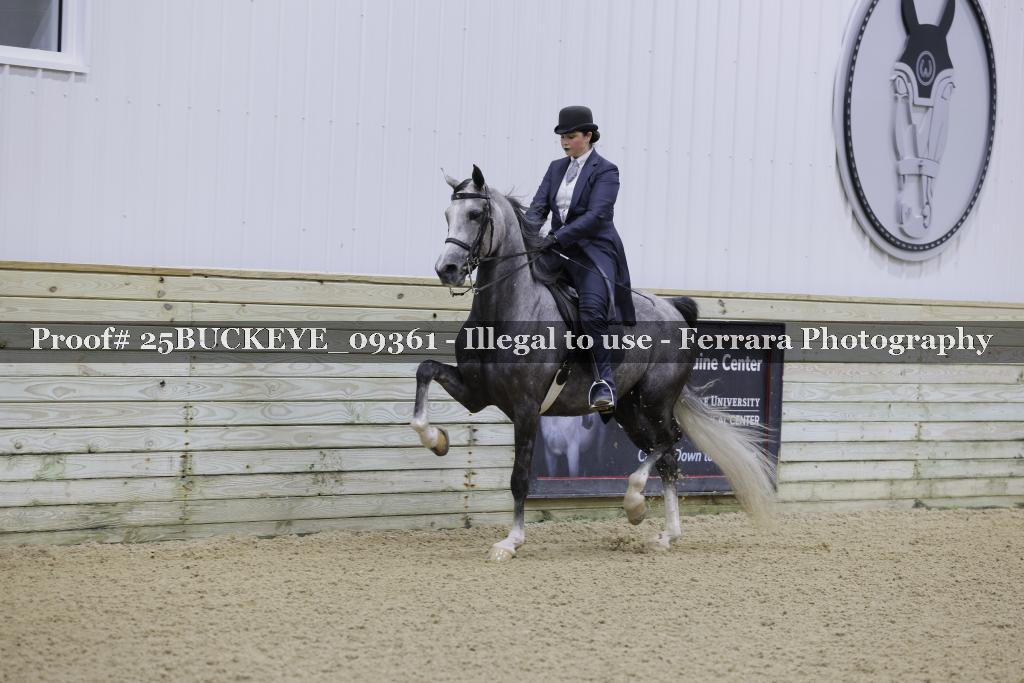 Proof Number 25BUCKEYE_09361