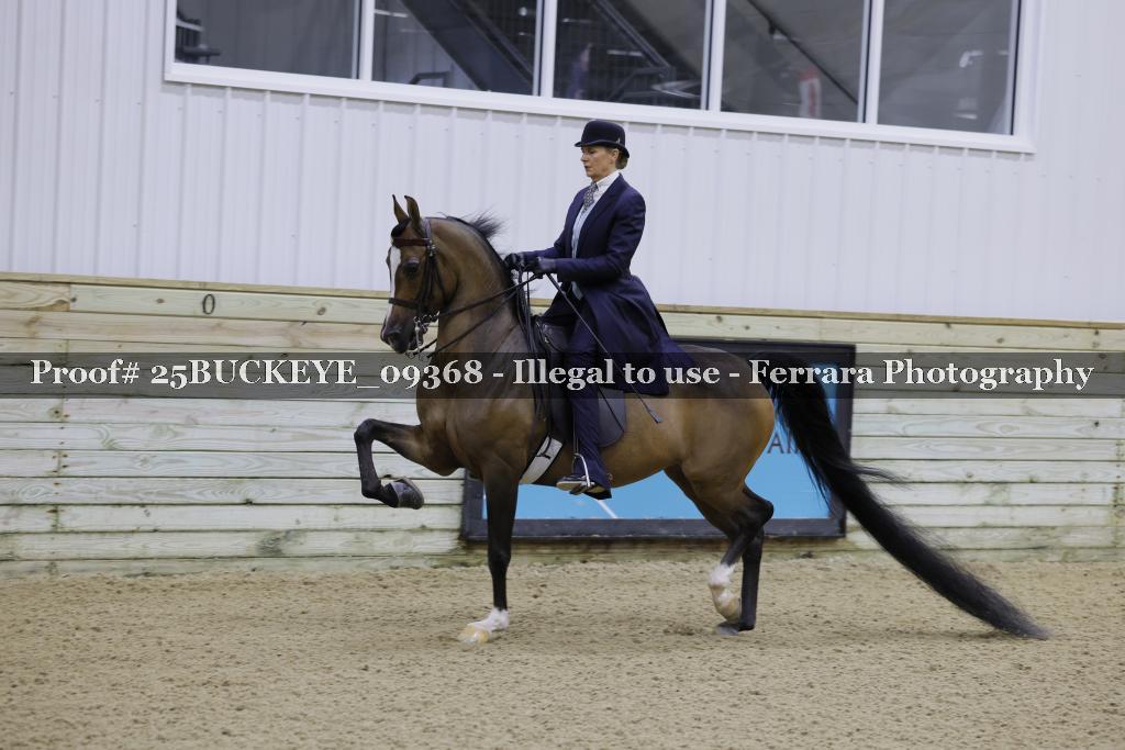 Proof Number 25BUCKEYE_09368