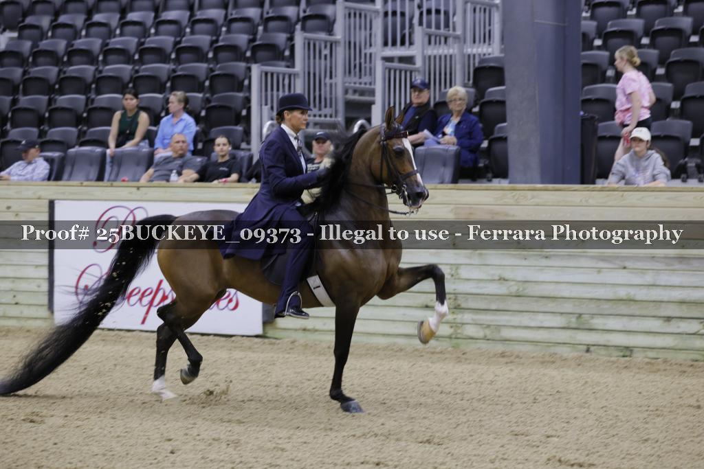 Proof Number 25BUCKEYE_09373