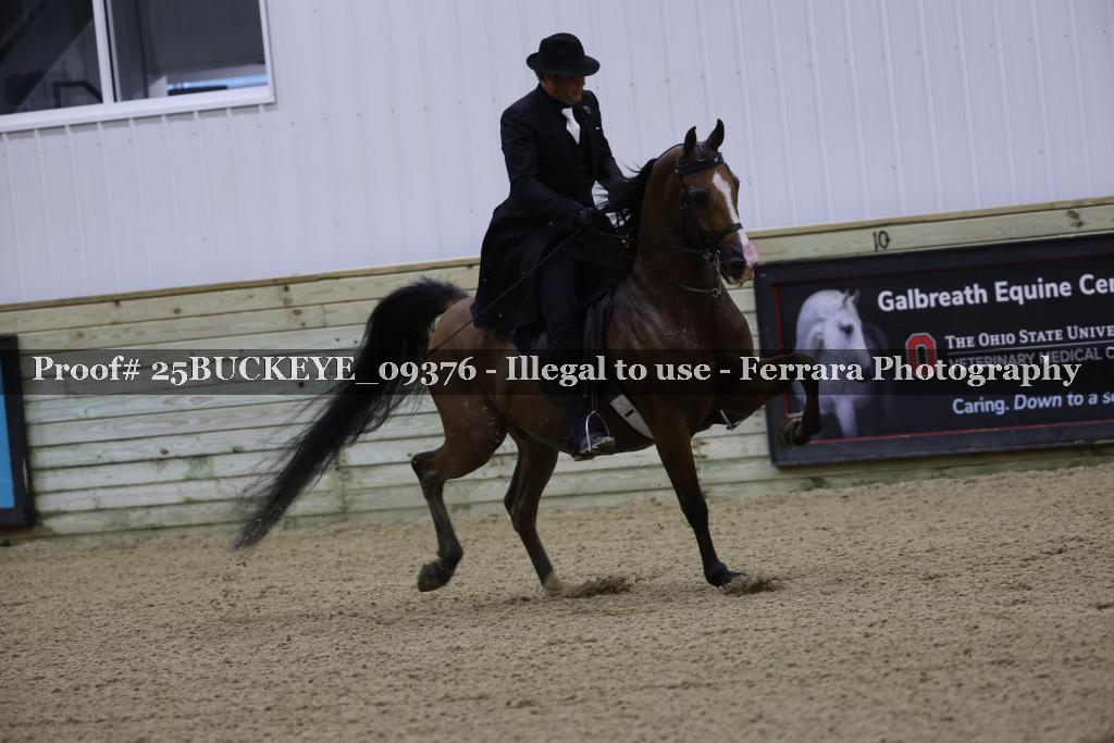 Proof Number 25BUCKEYE_09376