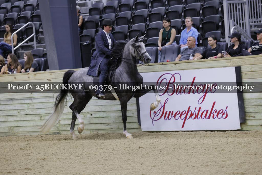 Proof Number 25BUCKEYE_09379
