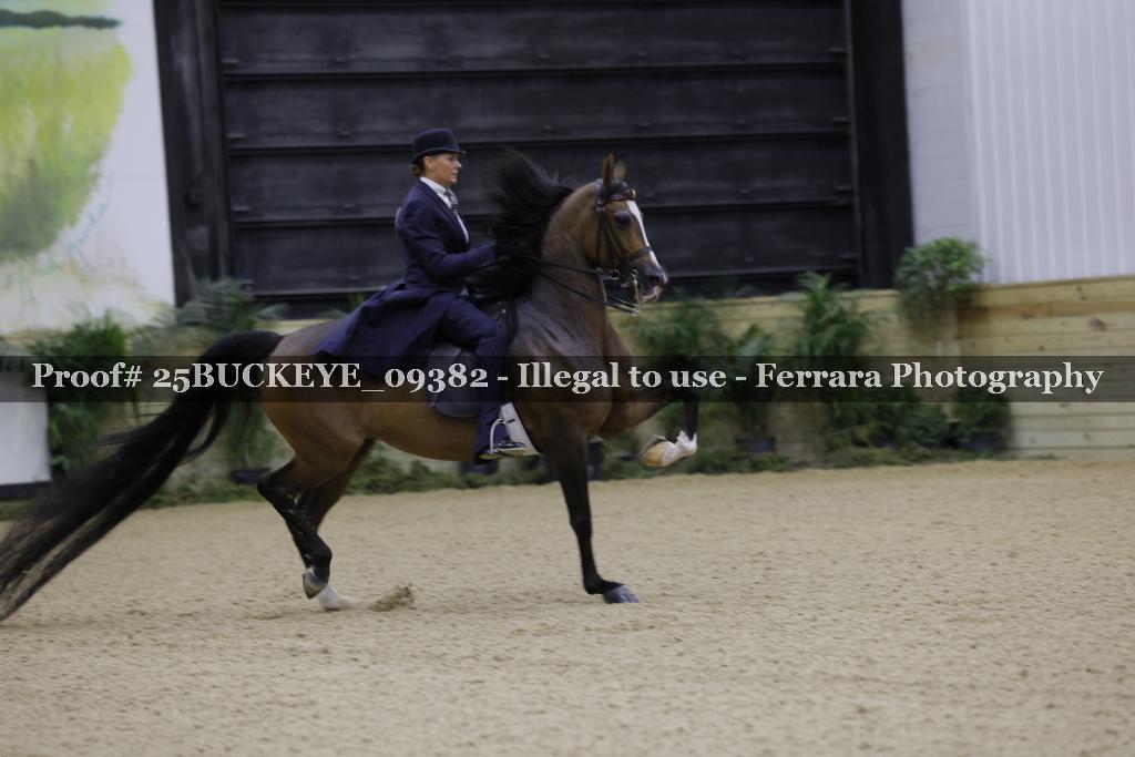 Proof Number 25BUCKEYE_09382