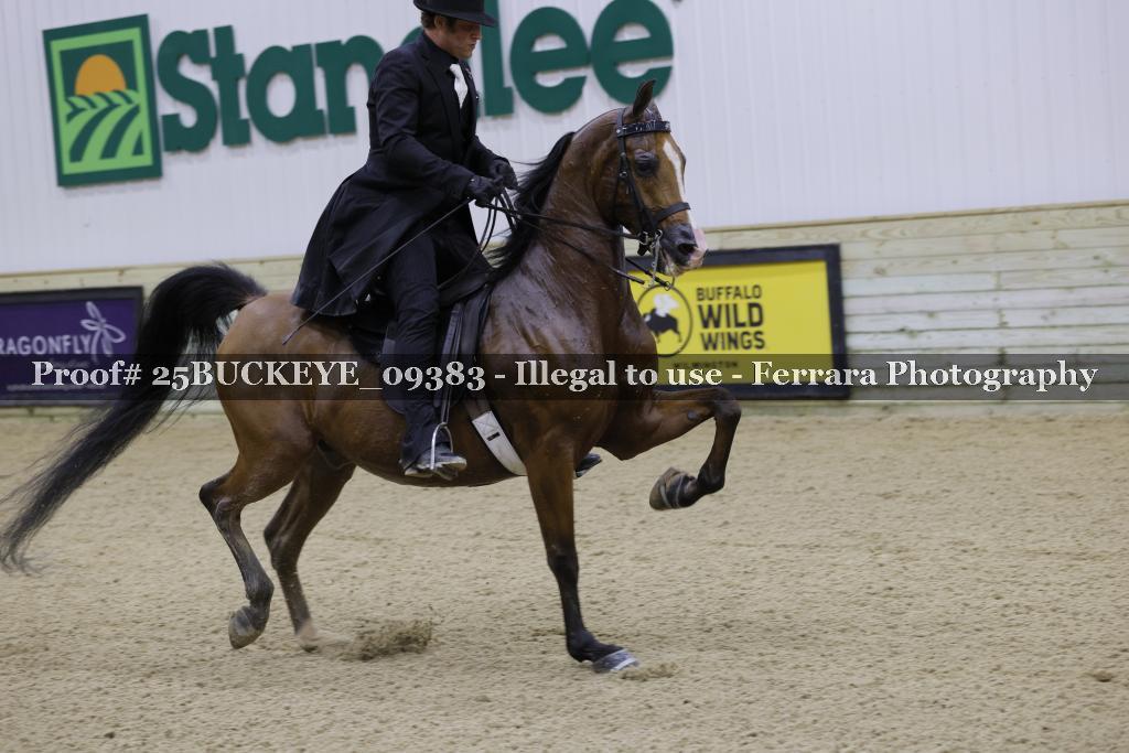 Proof Number 25BUCKEYE_09383