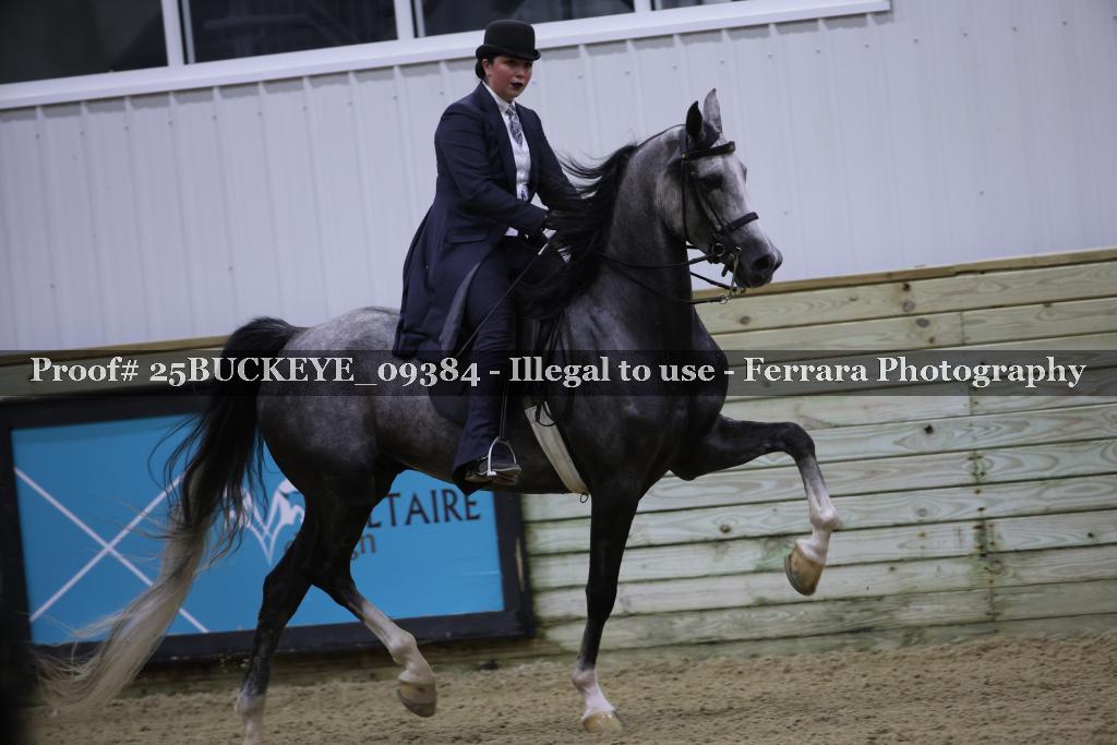 Proof Number 25BUCKEYE_09384