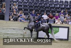 25BUCKEYE_09391 thumbnail