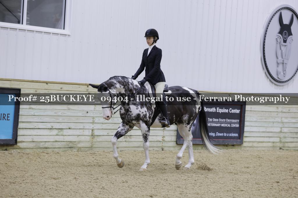 Proof Number 25BUCKEYE_09404
