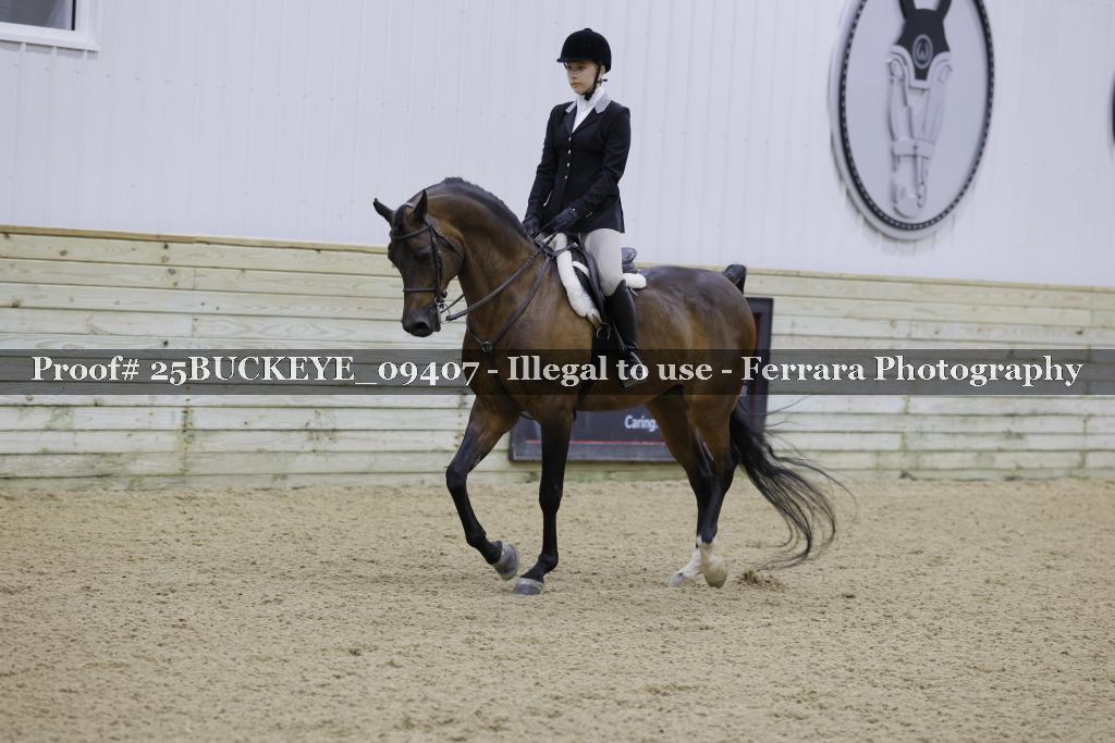 Proof Number 25BUCKEYE_09407