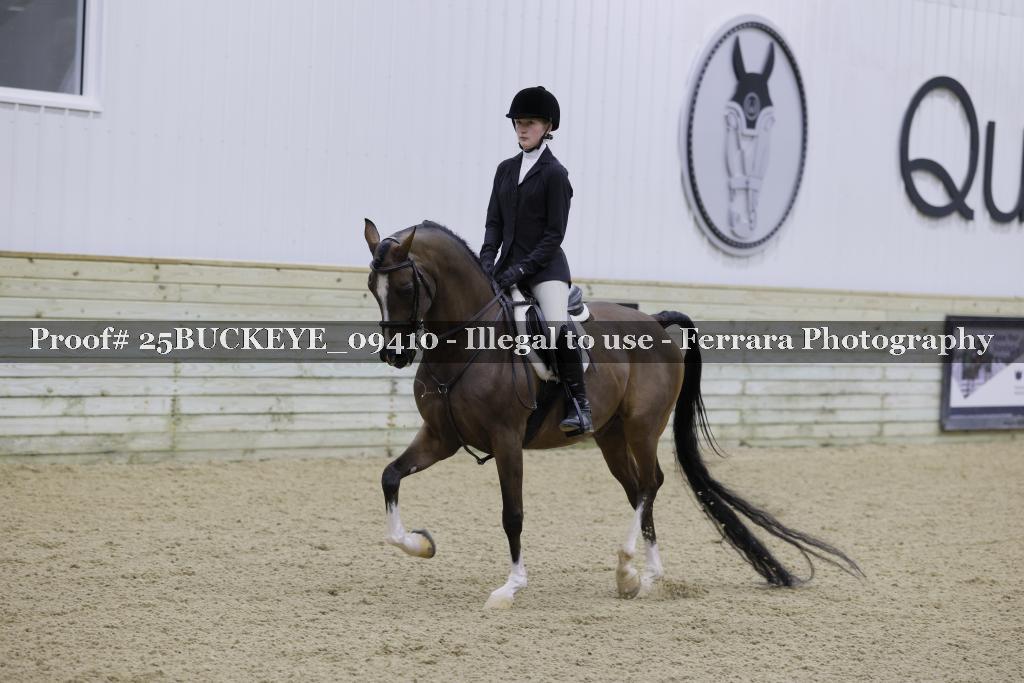 Proof Number 25BUCKEYE_09410