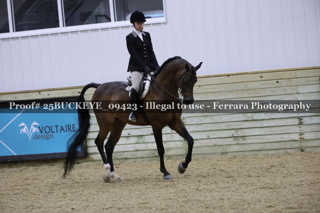 Proof Number 25BUCKEYE_09423