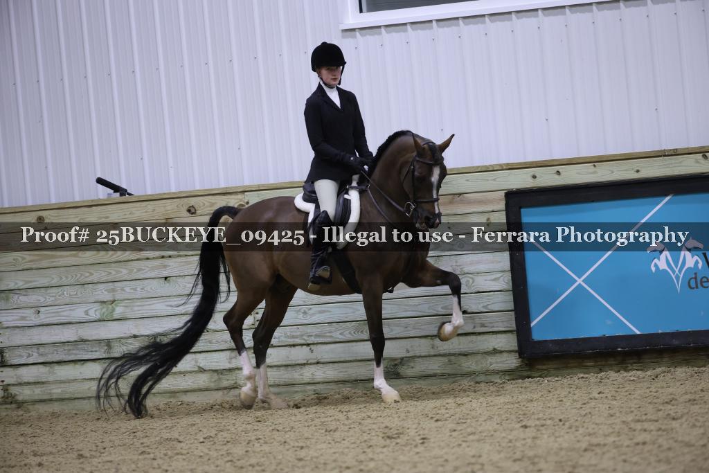 Proof Number 25BUCKEYE_09425