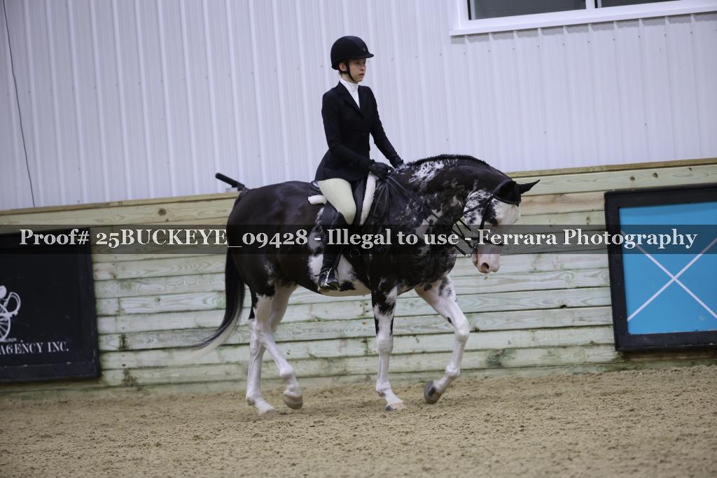 Proof Number 25BUCKEYE_09428