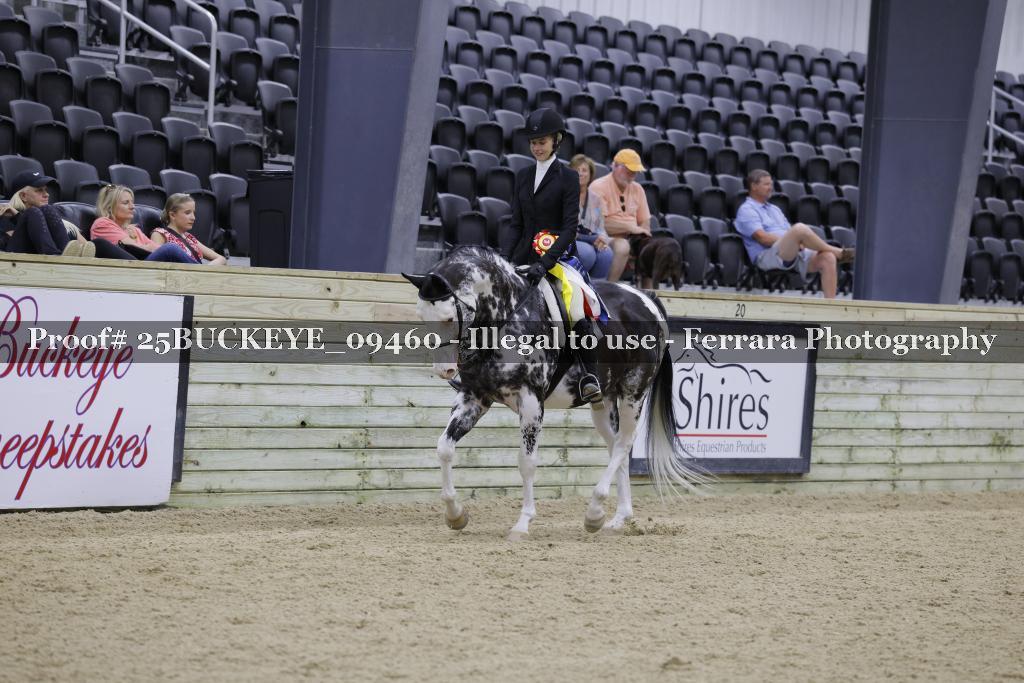 Proof Number 25BUCKEYE_09460