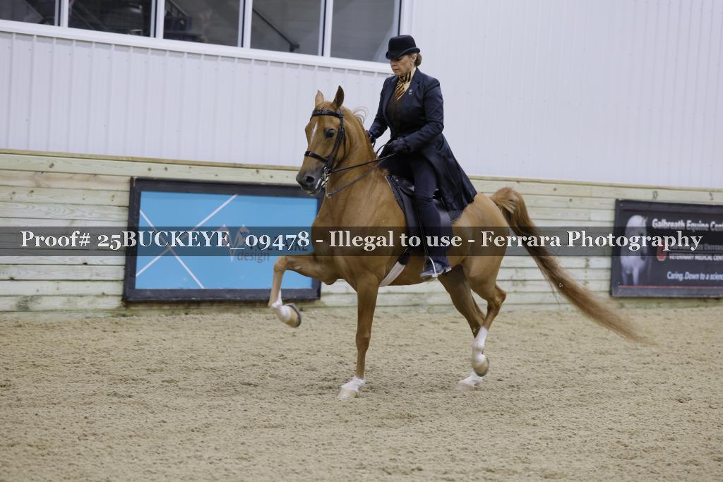 Proof Number 25BUCKEYE_09478