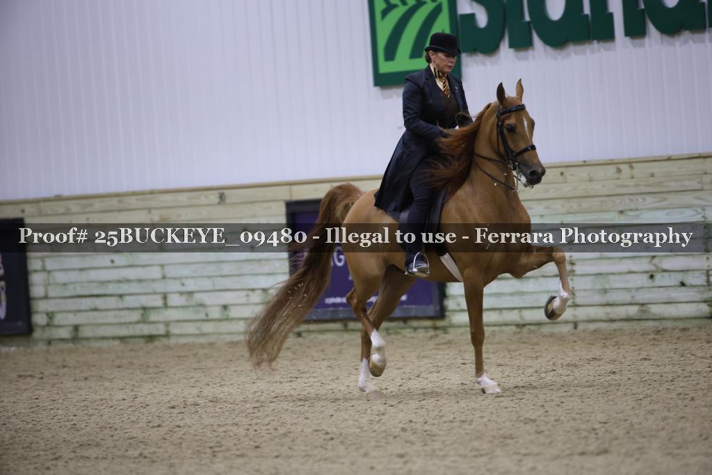 Proof Number 25BUCKEYE_09480