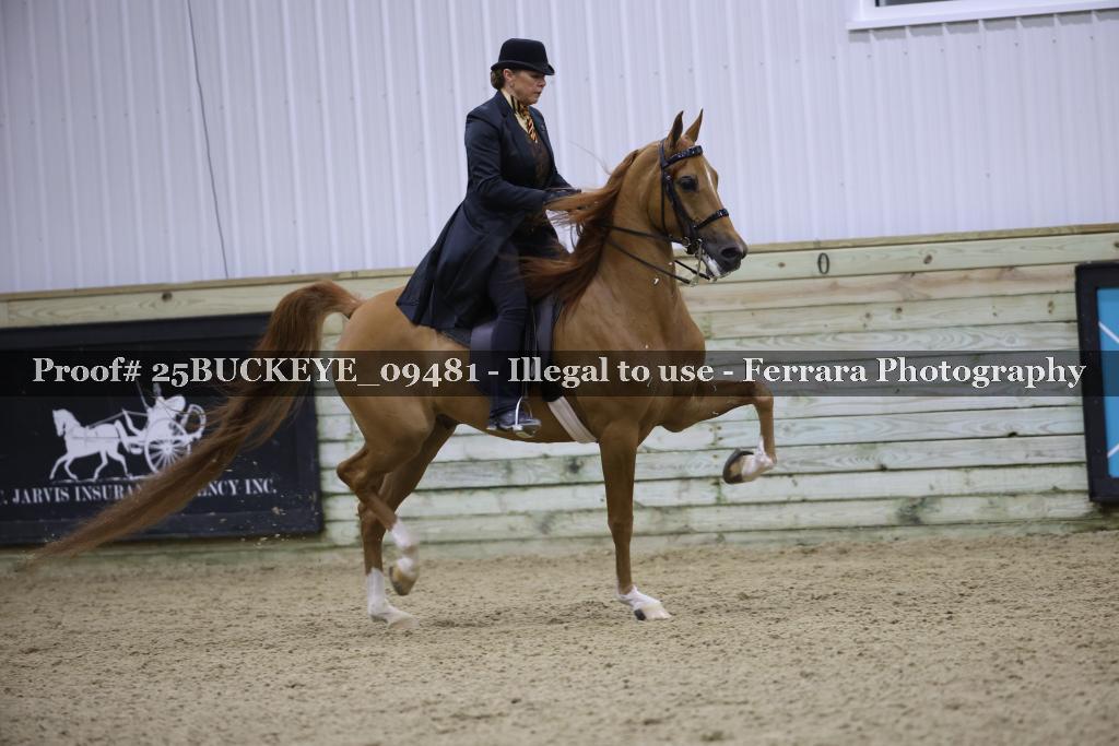 Proof Number 25BUCKEYE_09481