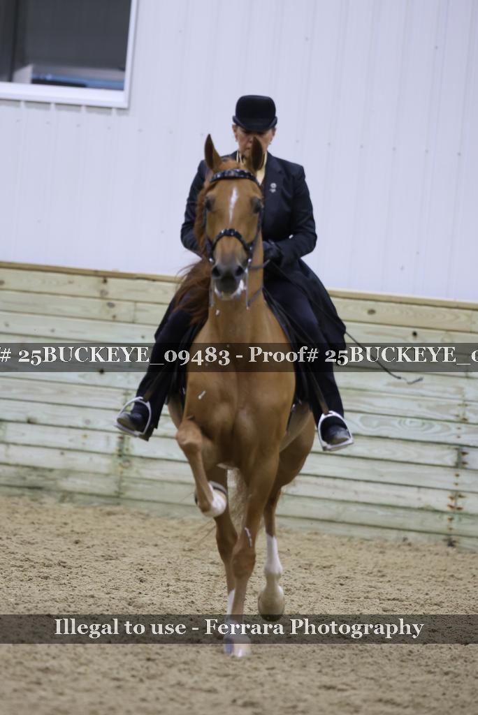 Proof Number 25BUCKEYE_09483