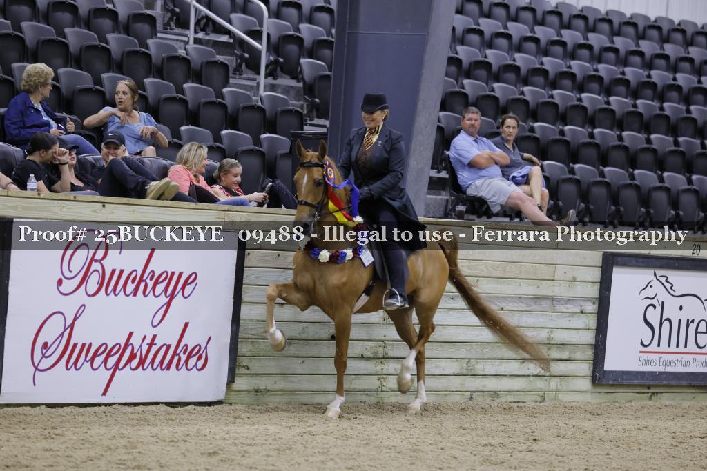 Proof Number 25BUCKEYE_09488