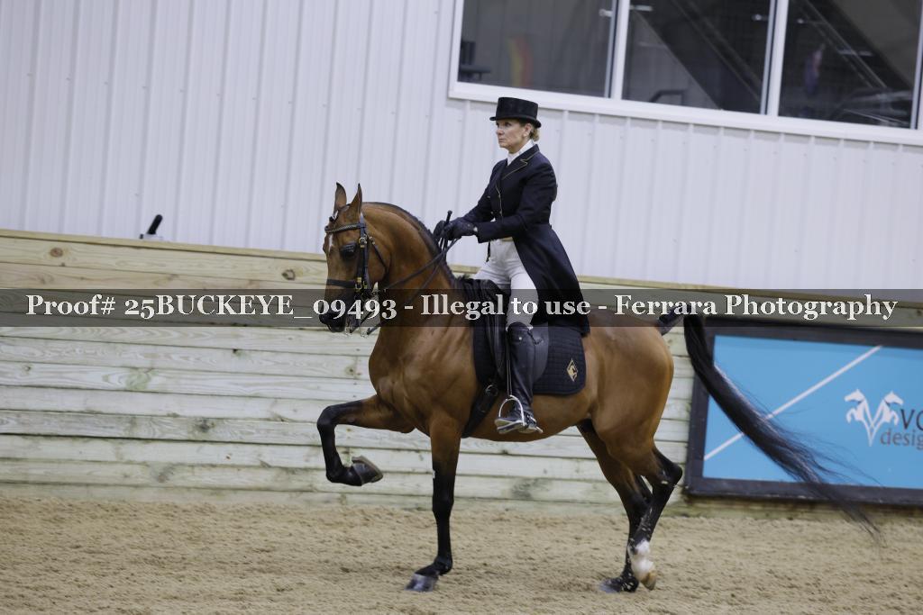 Proof Number 25BUCKEYE_09493