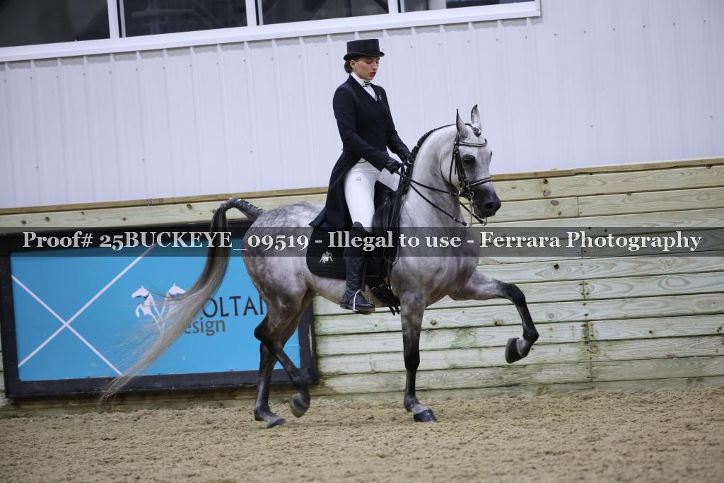 Proof Number 25BUCKEYE_09519