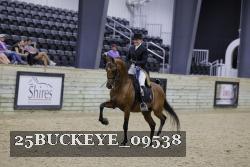 25BUCKEYE_09538 thumbnail