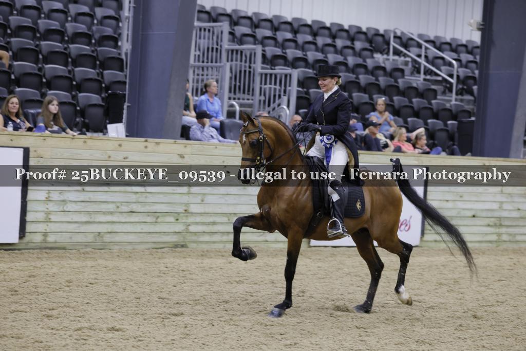 Proof Number 25BUCKEYE_09539