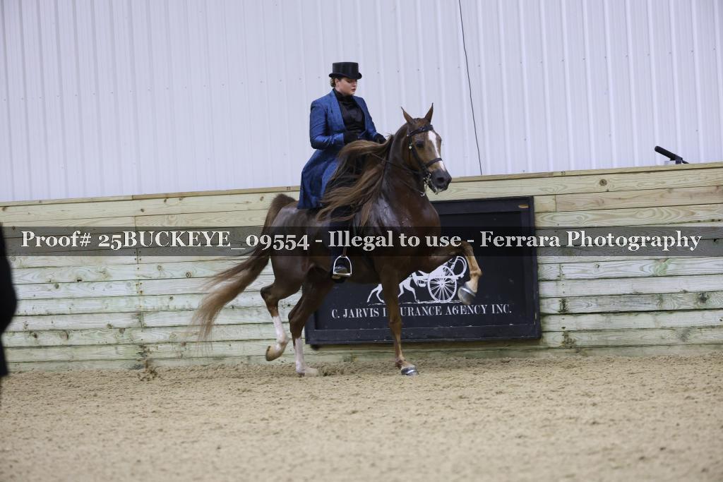 Proof Number 25BUCKEYE_09554