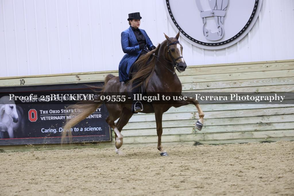 Proof Number 25BUCKEYE_09555